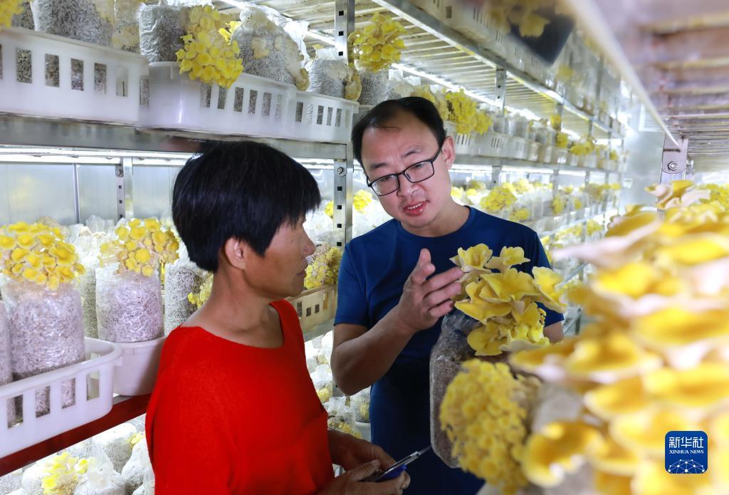 俄罗斯梯子游戏网站